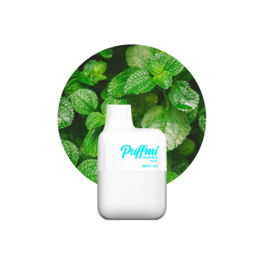 Puffmi MeshBox mini Mint Ice 20mg