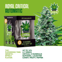 iGrowCan Automatic - Royal Critical